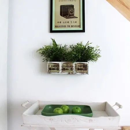 Bledowskie Rosy * Bledow