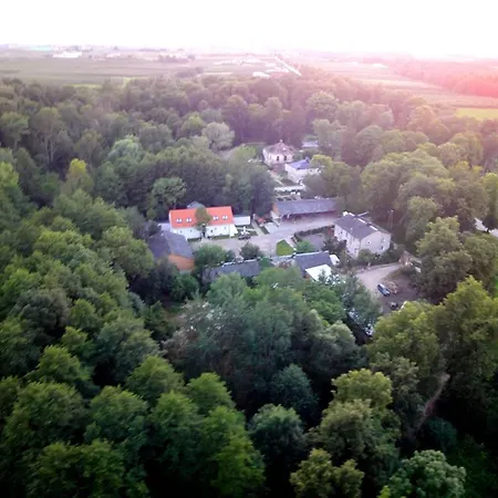 Bledowskie Rosy * Bledow