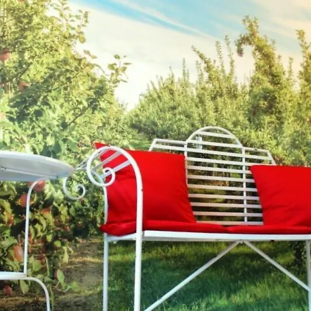 Bledowskie Rosy * Bledow