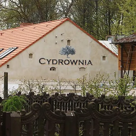 Bledowskie Rosy * Bledow