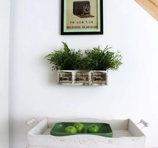 Bledowskie Rosy * Bledow