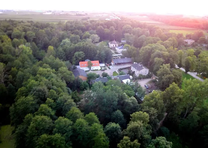 Bledowskie Rosy * Bledow